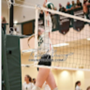 Meet your Posher, Barrett